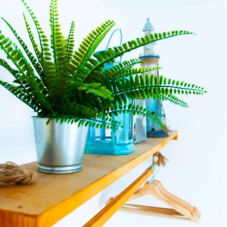 Callao Beachhouse Apartment